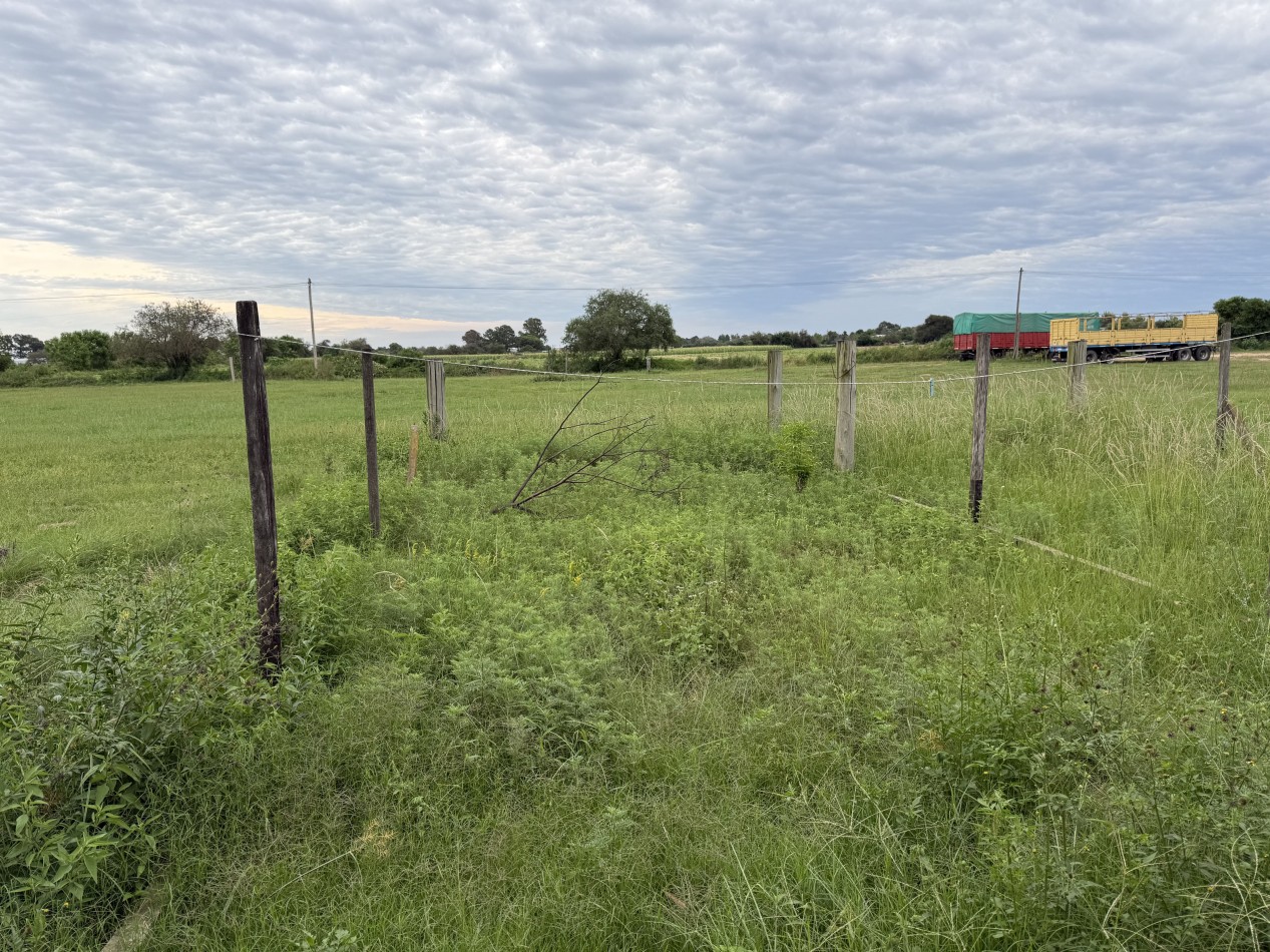 COMPLEJO COMERCIAL SOBRE RUTA N° 1 - KM 72, CAYASTA, SANTA FE