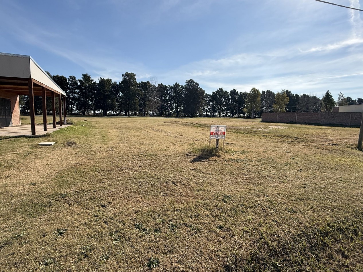 TERRENO BALDIO SAN CARLOS CENTRO