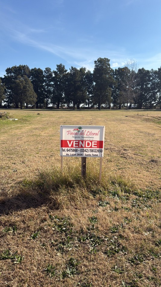 TERRENO BALDIO SAN CARLOS CENTRO
