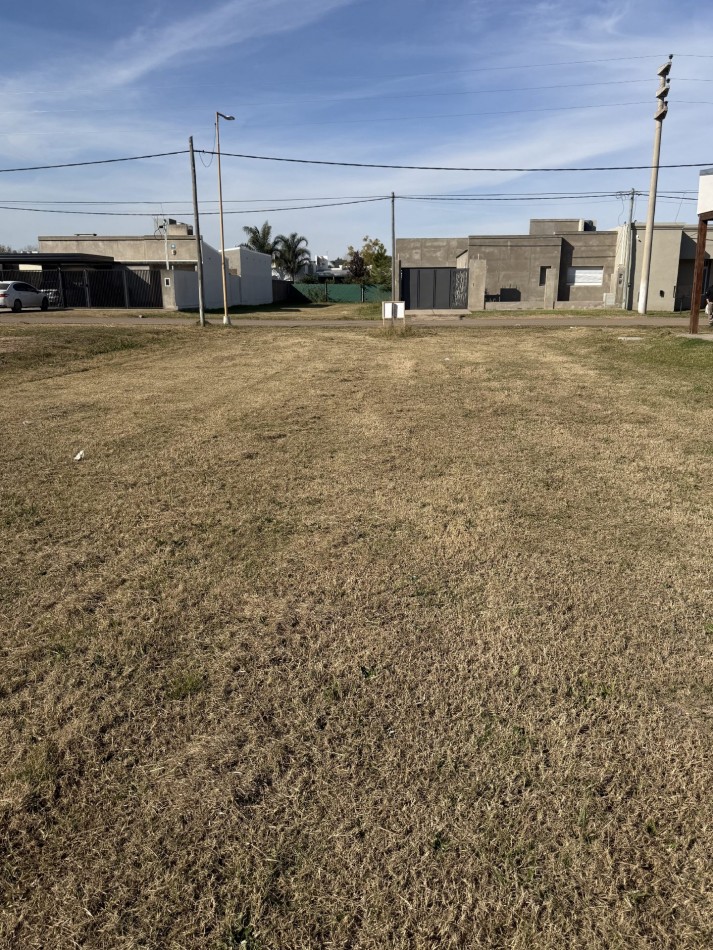 TERRENO BALDIO SAN CARLOS CENTRO