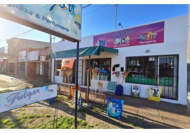 IDEAL INVERSIONISTA  2 LOCALES COMERCIALES 
